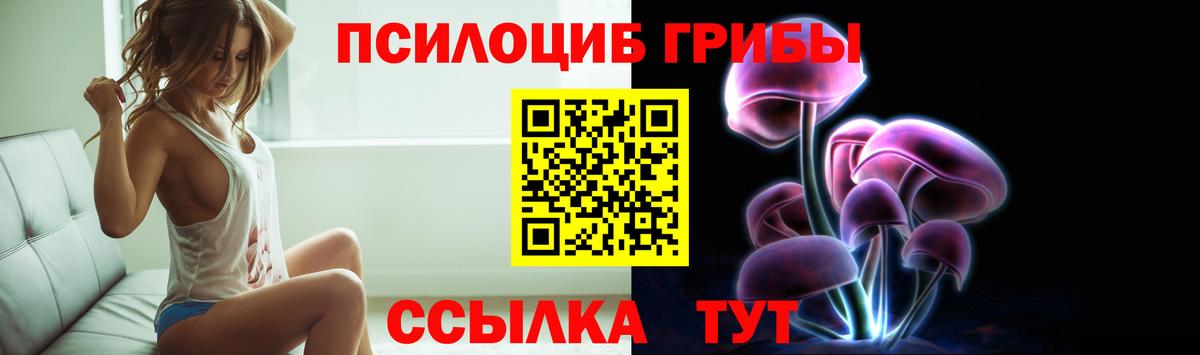 Галлюциногенные грибы MAGIC MUSHROOMS  Вход с VPN  Кемерово  Псилоцибиновые грибы прущие грибы 
